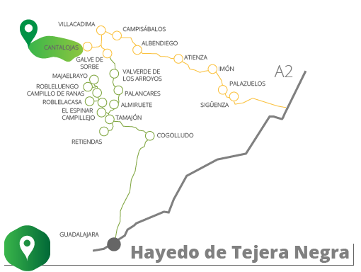 Mapa hayedo tejera negra