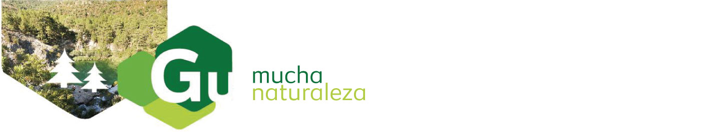 Mucha naturaleza mucha naturaleza 1 - Mucha naturaleza
