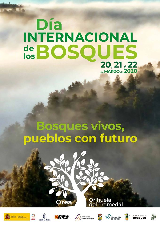 Día Internacional De Los Bosques - Turismo De Guadalajara